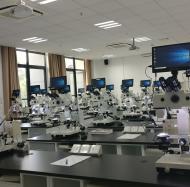 數碼顯微互動實驗室