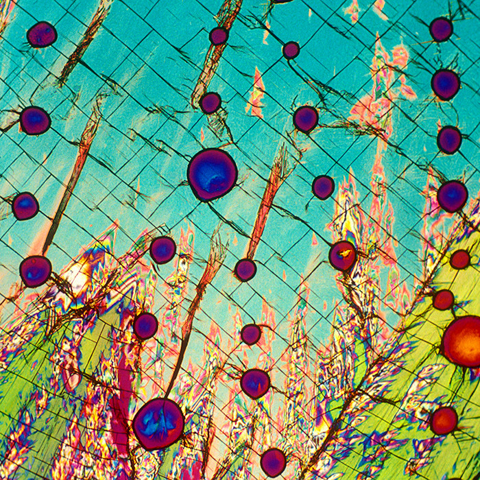 色彩斑斕的葡萄酒在顯微鏡下是什么樣的？