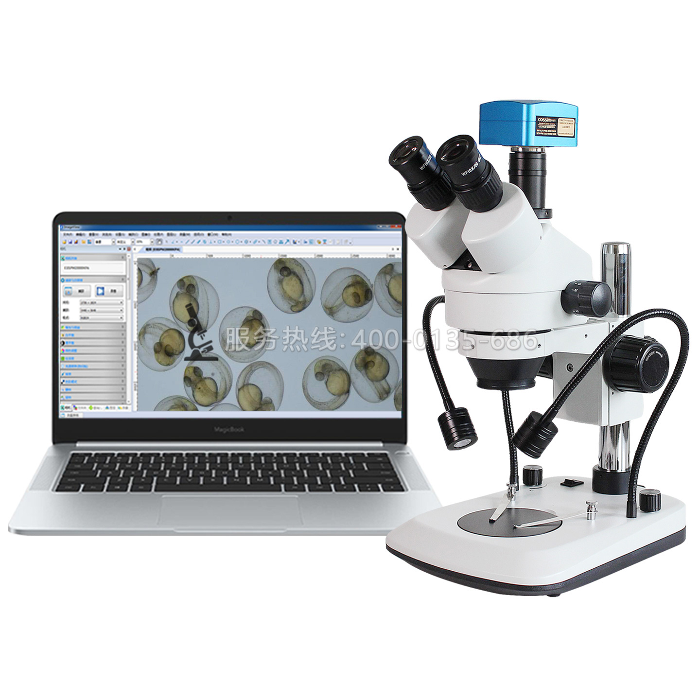 SRG-7045A三目雙側(cè)光源體視顯微鏡胚胎斑馬魚PCB板檢測(cè)